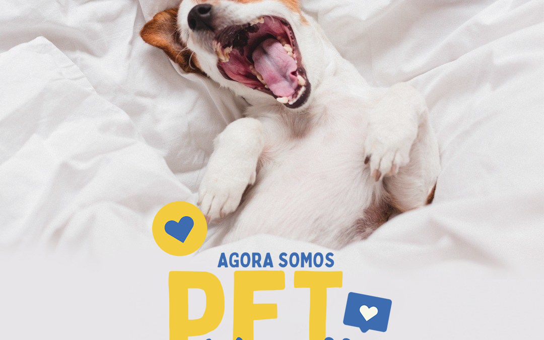 Agora o Strand Hotel Guarujá é pet friendly